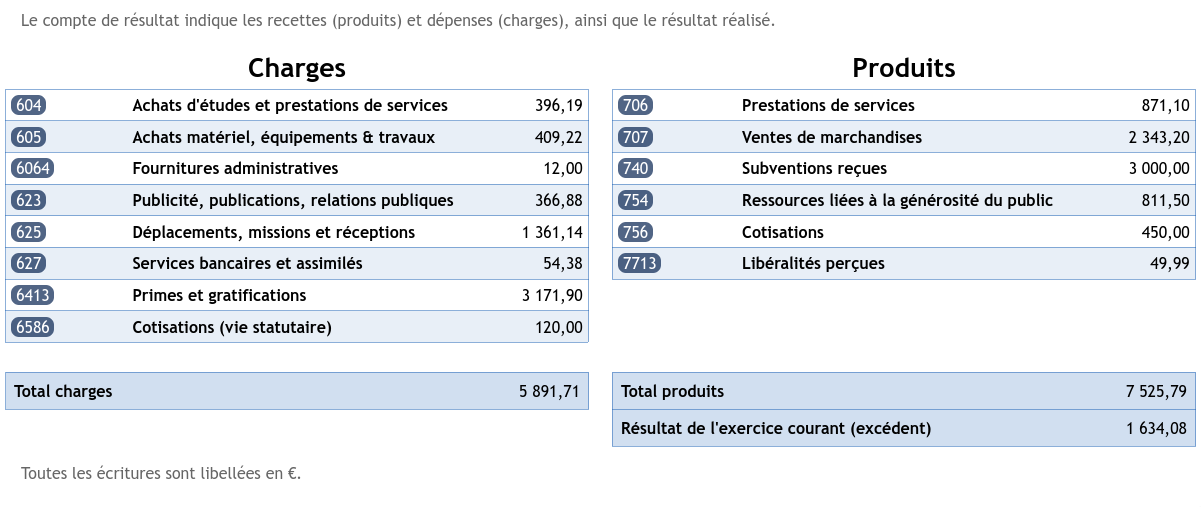 Capture du compte de résultat 2024