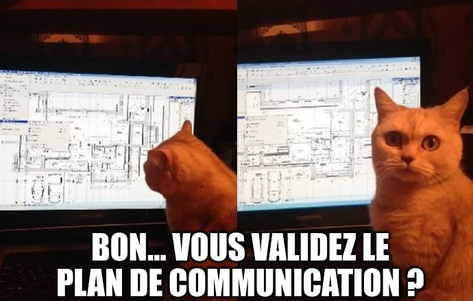 Mème avec un chat qui regarde un plan compliqué. Texte : Frama en assemblée générale − qui vote contre le plan de communication ?