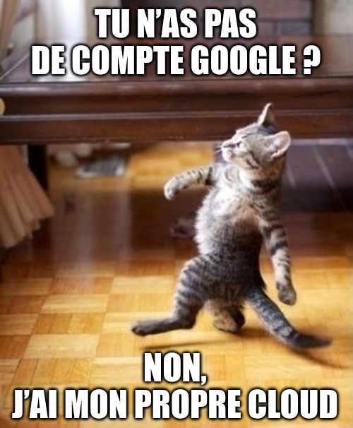 Mème d’un chat prenant un air fier, marchant sur ses deux pattes arrière : Tu n’as pas de compte Google ? Non, j’ai mon propre cloud.