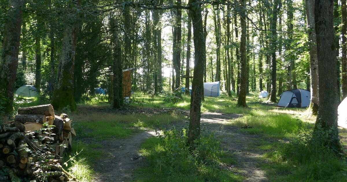 Une vingtaine de tentes plantées en forêt.