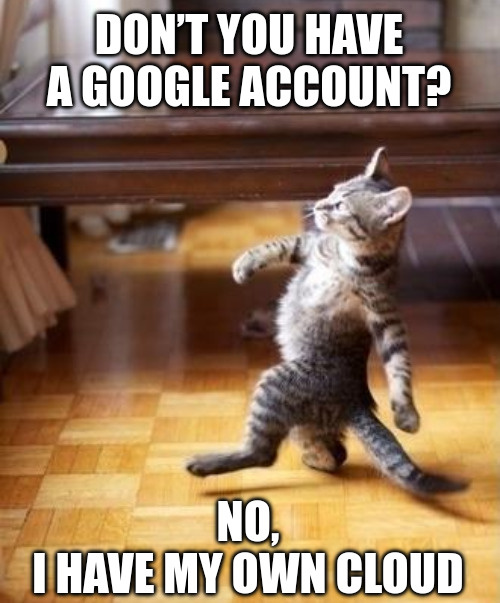 Kitten meme looking proud, walking on its two feet: Don’t you have a Google account? No, I have my own cloud.