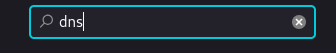 Screenshot of the search bar with ‘dns’ written on it